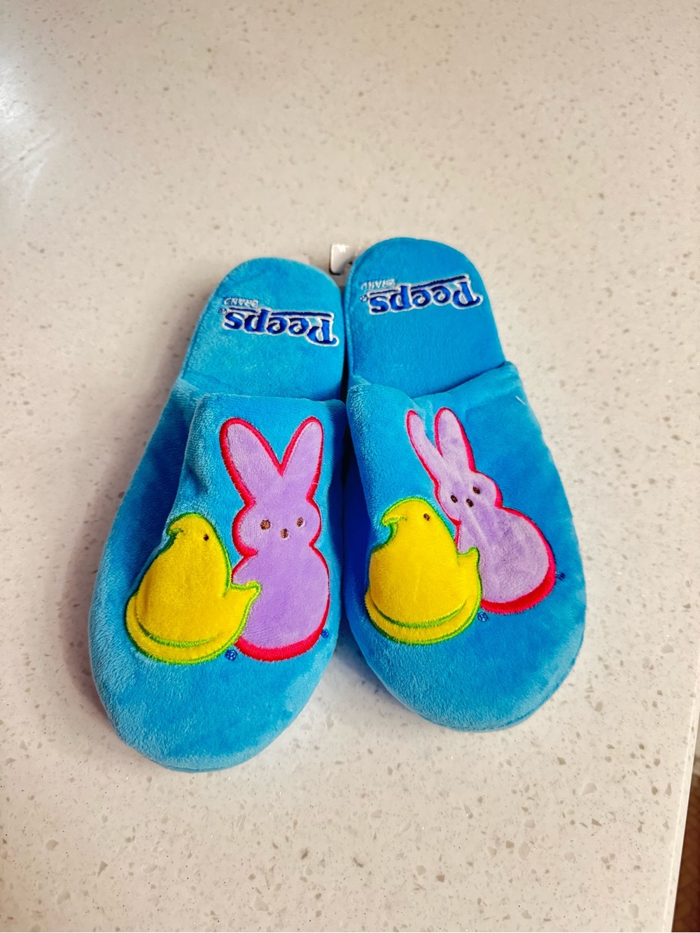 Blue Plush Women's Slippers with Chick & Bunny Appliqué